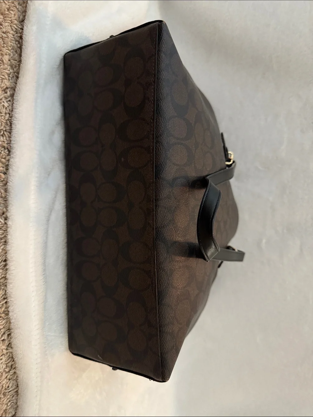 Coach Mollie Tote 25 in Signature Canvas Tote